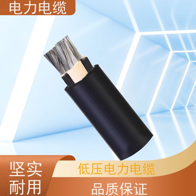 天康 电力电缆 标称截面 10mm2 源头工厂 规格齐全