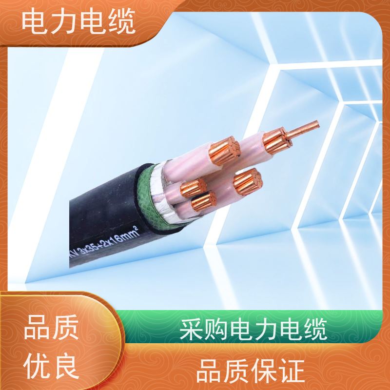 天康 高压电力电缆 电线外径 1.6mm 实力工厂 质量保障
