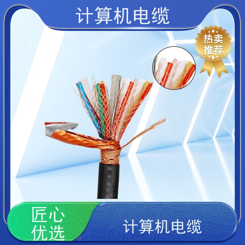 天康 计算机电缆 截面2.7-400mm2 厂家制造 优选材质