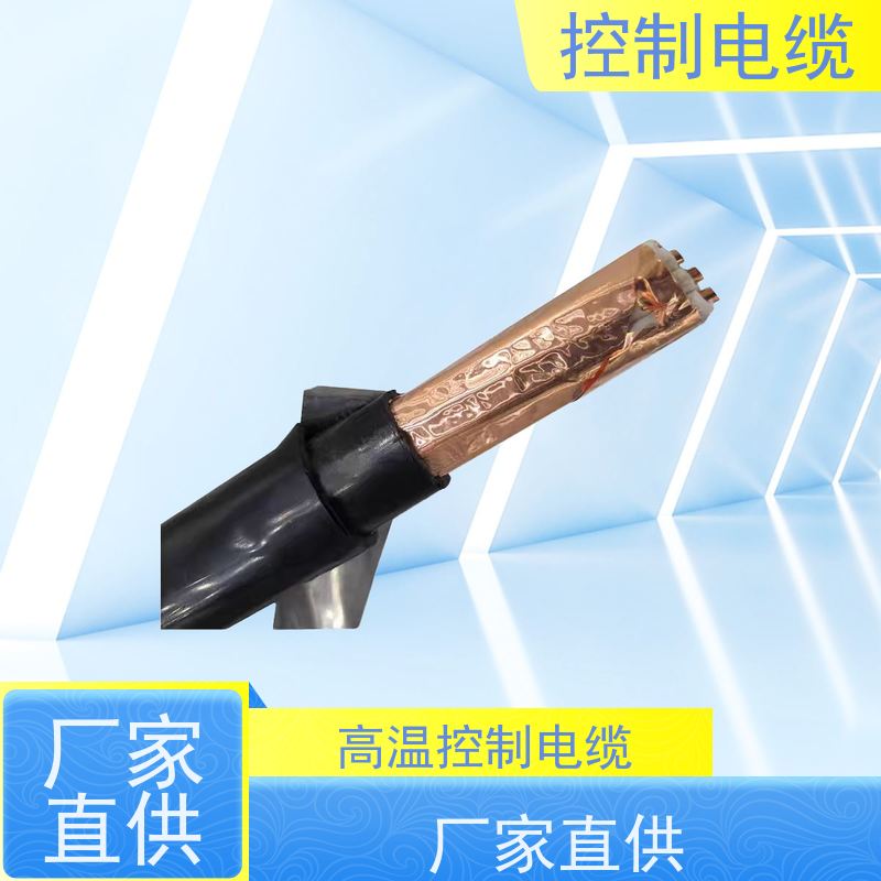 天康 变频器控制电缆 标称截面 10mm2 源头厂家 经久耐用