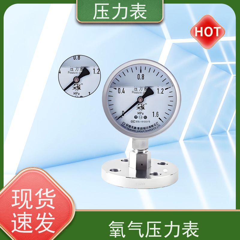 天康 进口压力表 环境温度 100℃ 批发 源头厂家 质量保障