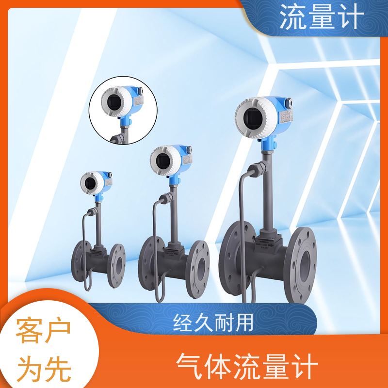 天康 质量流量计 公称通径 dn1200 工厂供应 支持定制