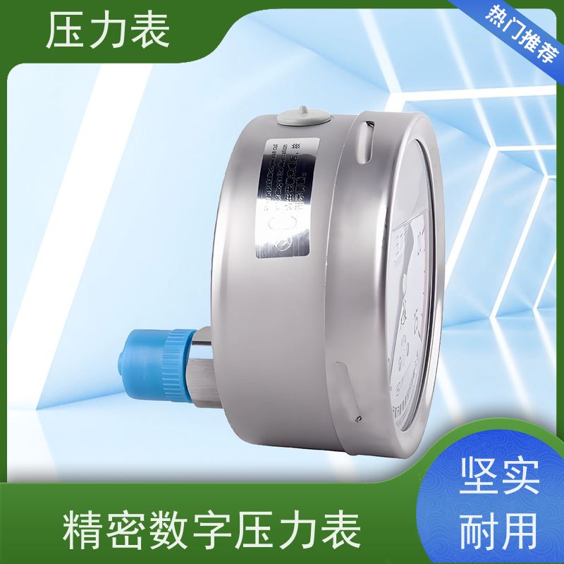 天康 稳压罐压力表 公称直径 60mm 批发 厂家制造 品类齐全