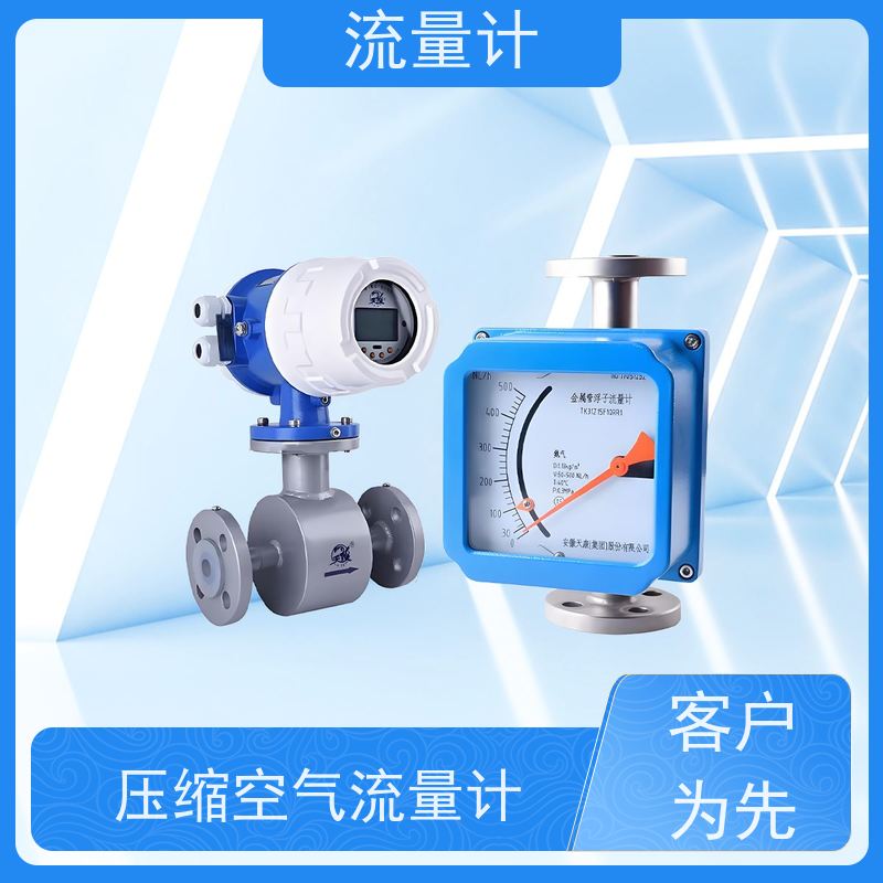 天康 二氧化碳流量计 测量精度 ±1.5% 工厂制造 规格齐全