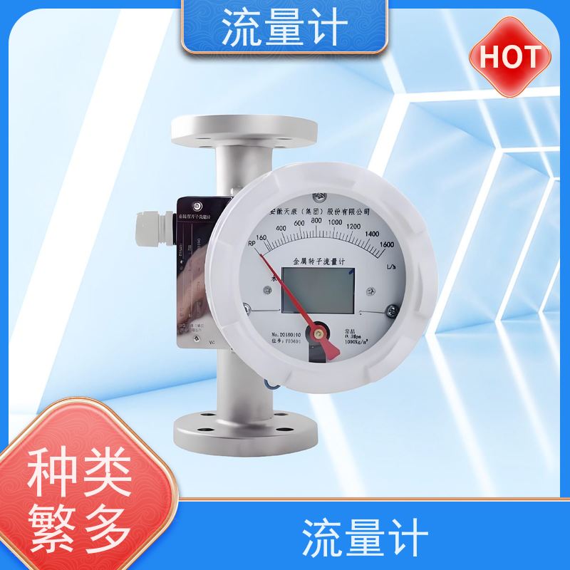 天康 高精度气体流量计 公称通径 dn1200 工厂供应 支持定制