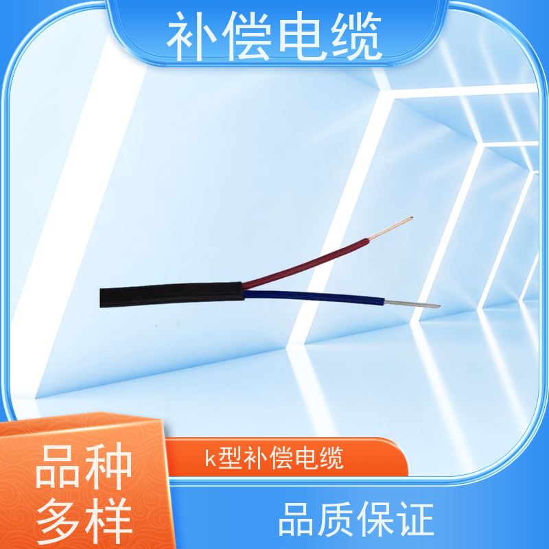 天康 热电阻补偿电缆 护层厚度 0.7mm 实力厂家 做工细致