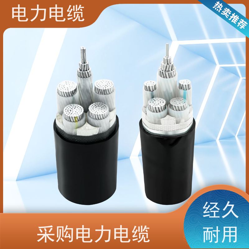 天康 护套电力电缆 标称截面 10mm2 源头工厂 规格齐全