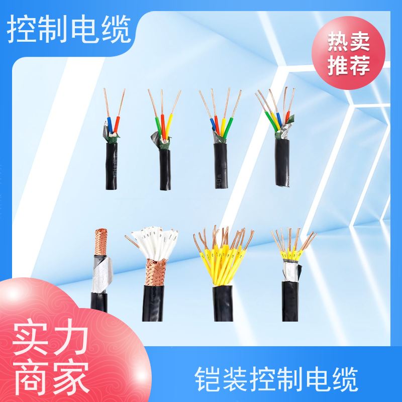 天康 钢丝铠装控制电缆 标称截面 10mm2 工厂供应 性能稳定