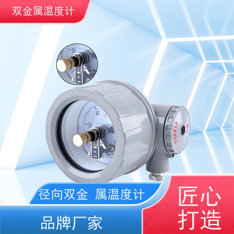 天康 表面双金属温度计 法兰安装 品牌厂家 经久耐用