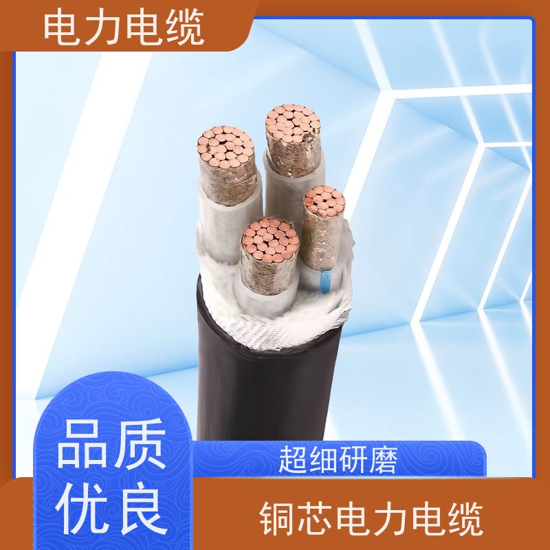 天康 护套电力电缆 标称截面 10mm2 厂家供应 做工细致
