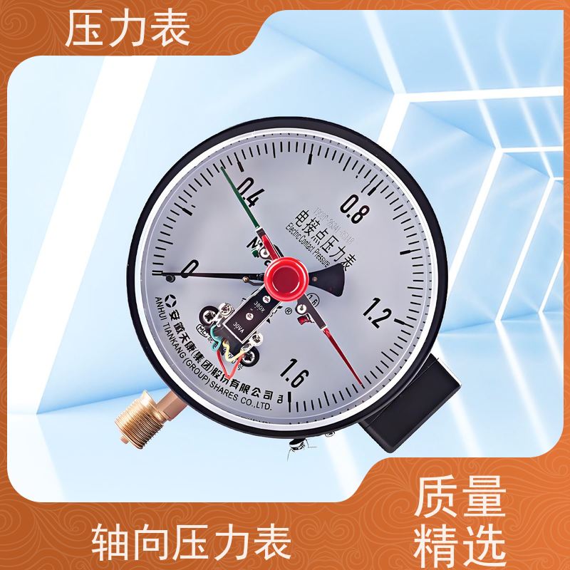 天康 煤气罐压力表 公称直径 60mm 批发 厂家制造 品类齐全