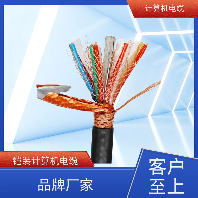 天康 阻燃耐高温计算机电缆 绝缘厚度 0.8mm 厂家供应 支持定制