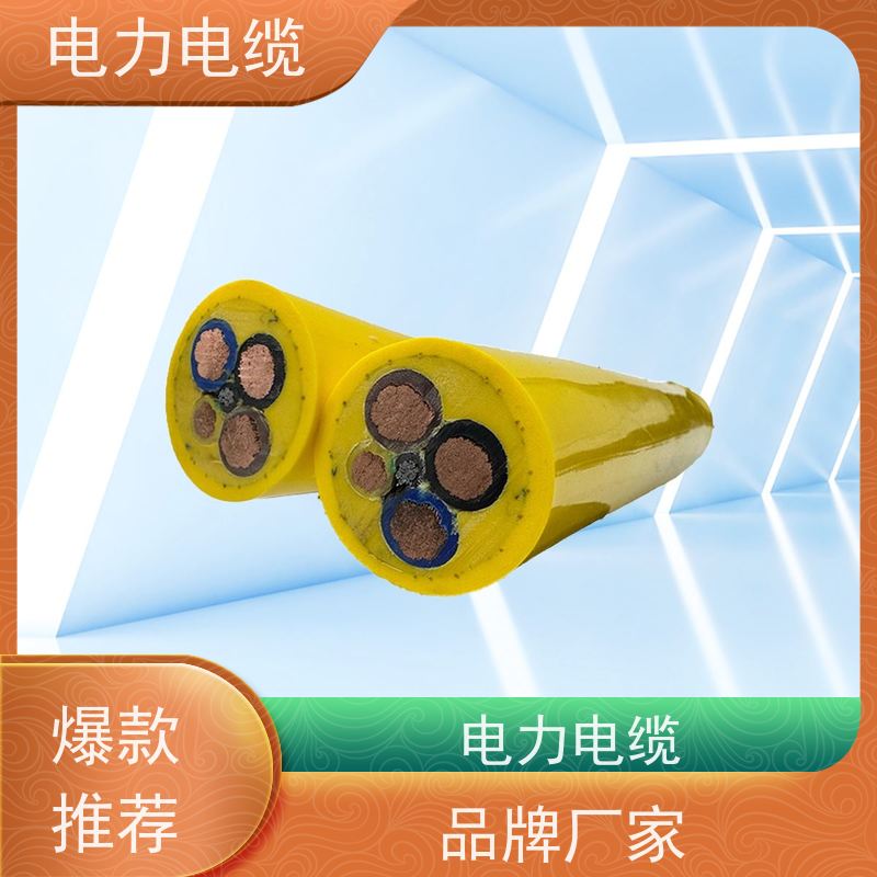 天康 低压电力电缆 标称截面 10mm2 厂家供应 做工细致
