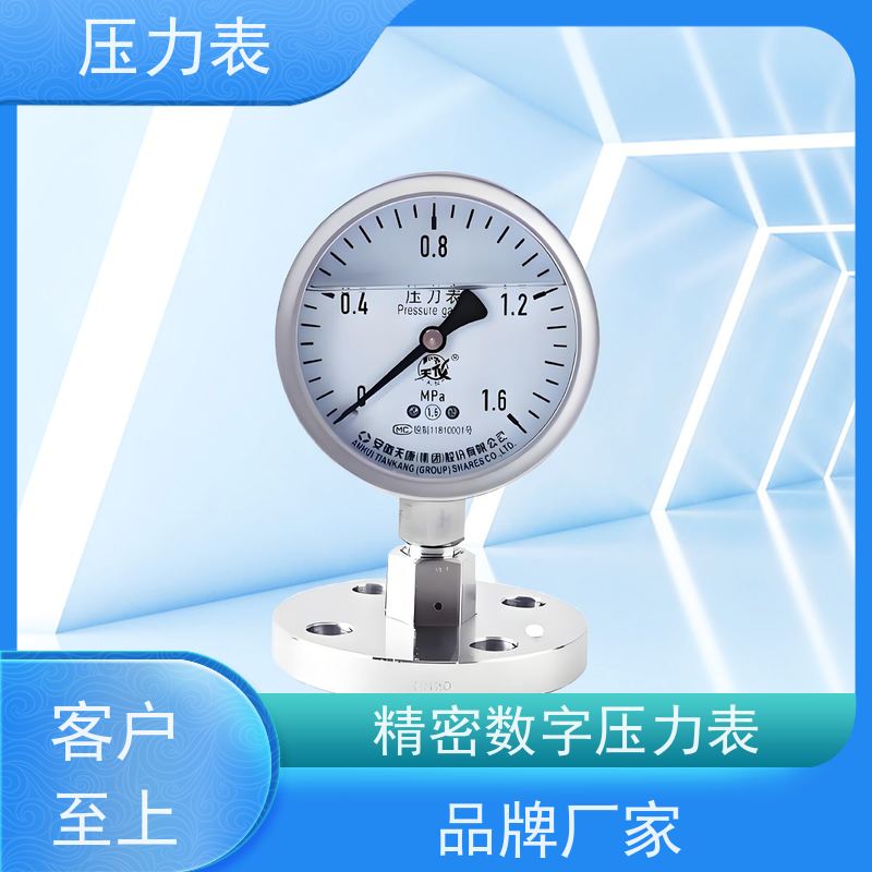 天康 轴向带边压力表 公称直径 60mm 批发 厂家制造 品类齐全