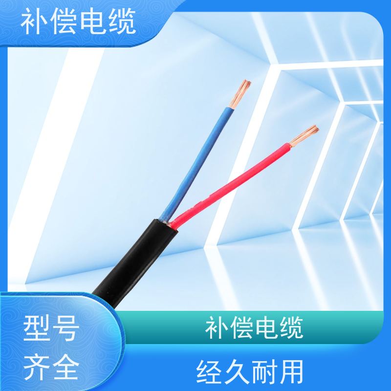 天康 b型热电偶补偿电缆 测试端温度 100℃ 源头工厂 支持定制