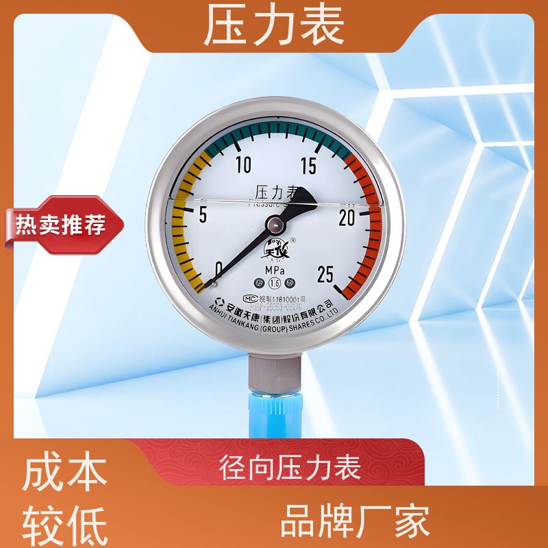 天康 隔膜耐震压力表 环境温度 100℃ 批发 源头厂家 质量保障