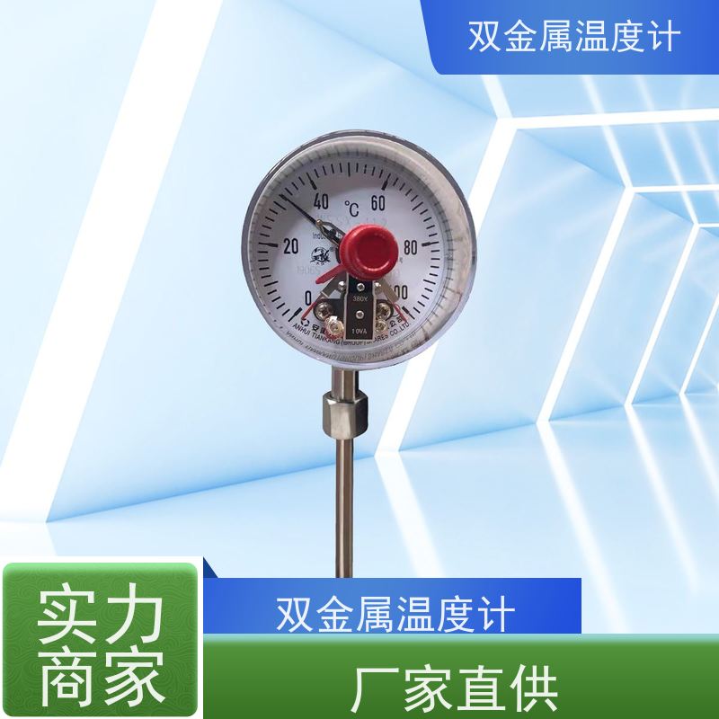 天康 专 业双金属温度计 固定式安装 厂家供应 货源充足