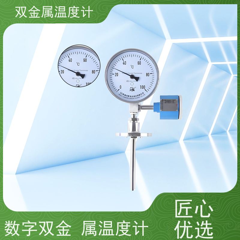 天康 数字式双金属温度计 法兰安装 品牌厂家 经久耐用