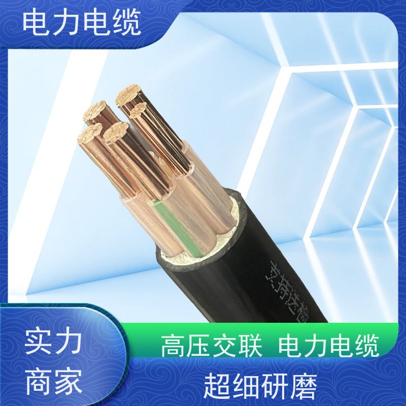 天康 绝缘电力电缆 额定电压 450v 厂家供应 做工细致