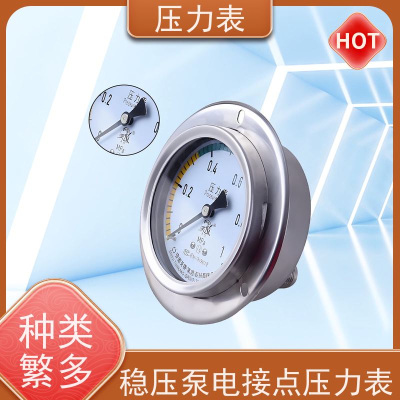 天康 防爆压力表 公称直径 60mm 批发 实力厂家 品质优越