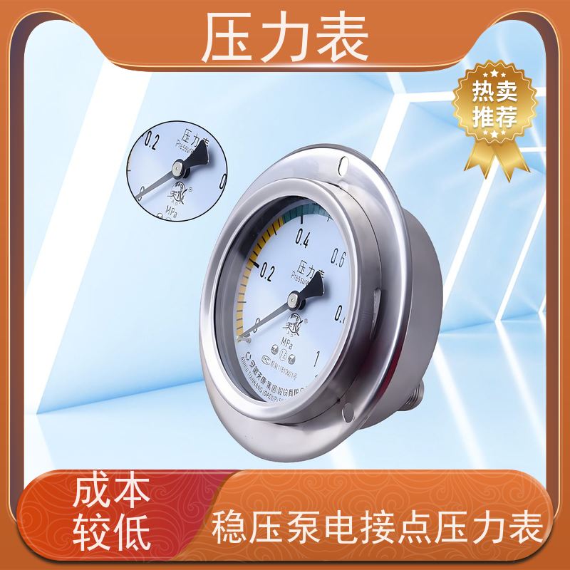 天康 不锈钢膜片压力表 环境温度 100℃ 批发 源头厂家 质量保障