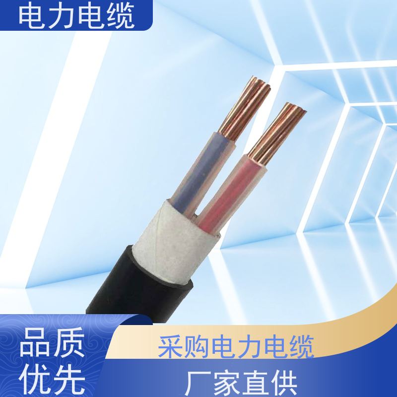 天康 铠装电力电缆 绝缘厚度 1.4mm 厂家供应 做工细致