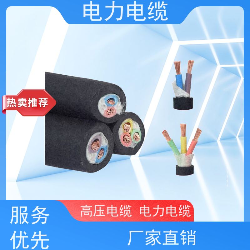 天康 铠装电力电缆 额定电压 450v 厂家供应 做工细致