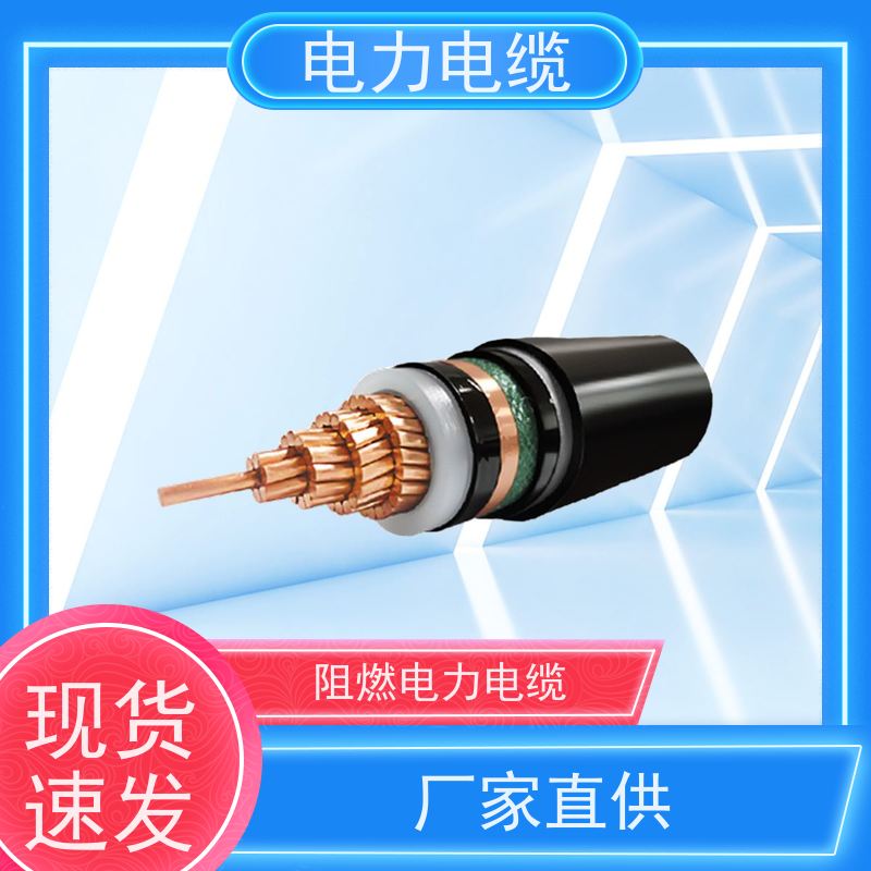 天康 钢带铠装电力电缆 标称截面 10mm2 实力工厂 质量保障