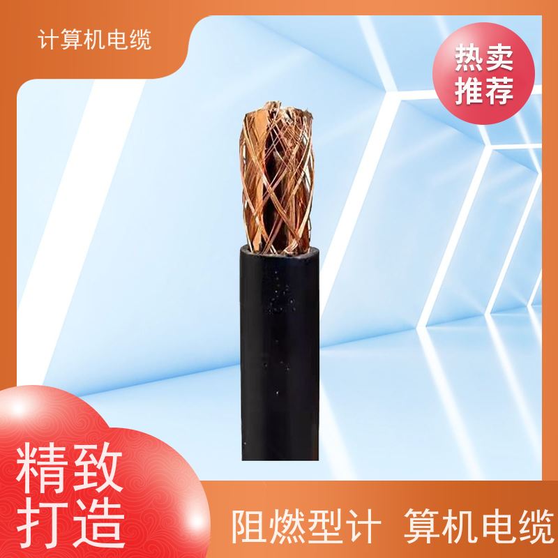 天康 总屏蔽计算机电缆 绝缘厚度 0.8mm 实力厂家 经久耐用