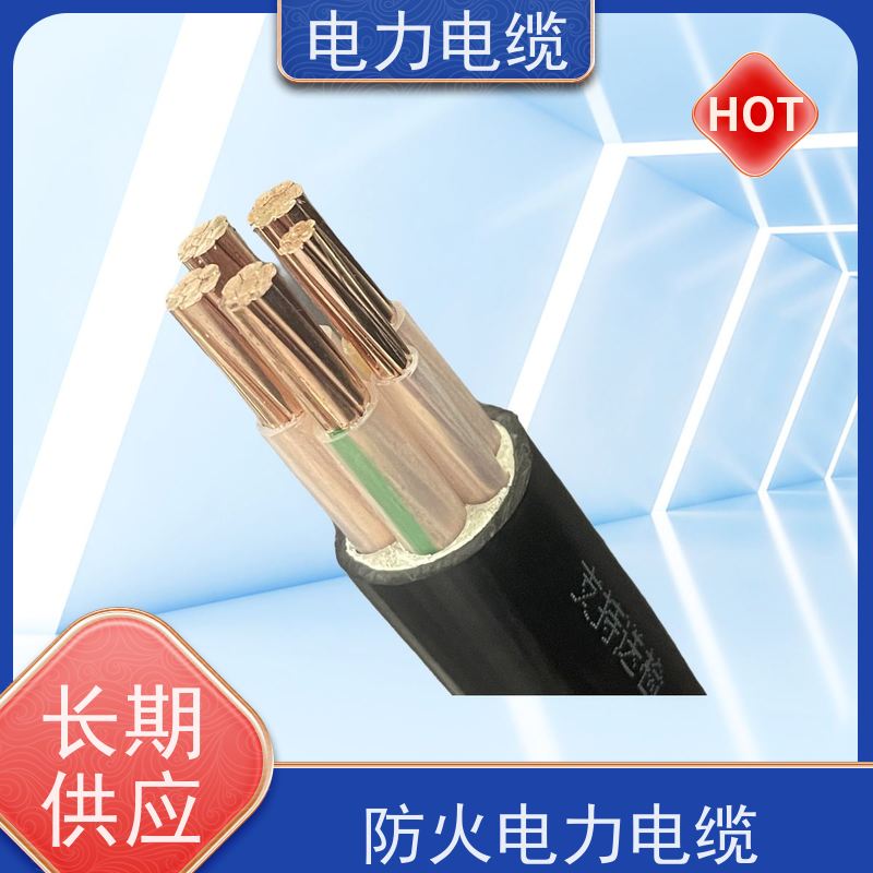 天康 硅橡胶电力电缆 额定电压 450v 厂家供应 做工细致
