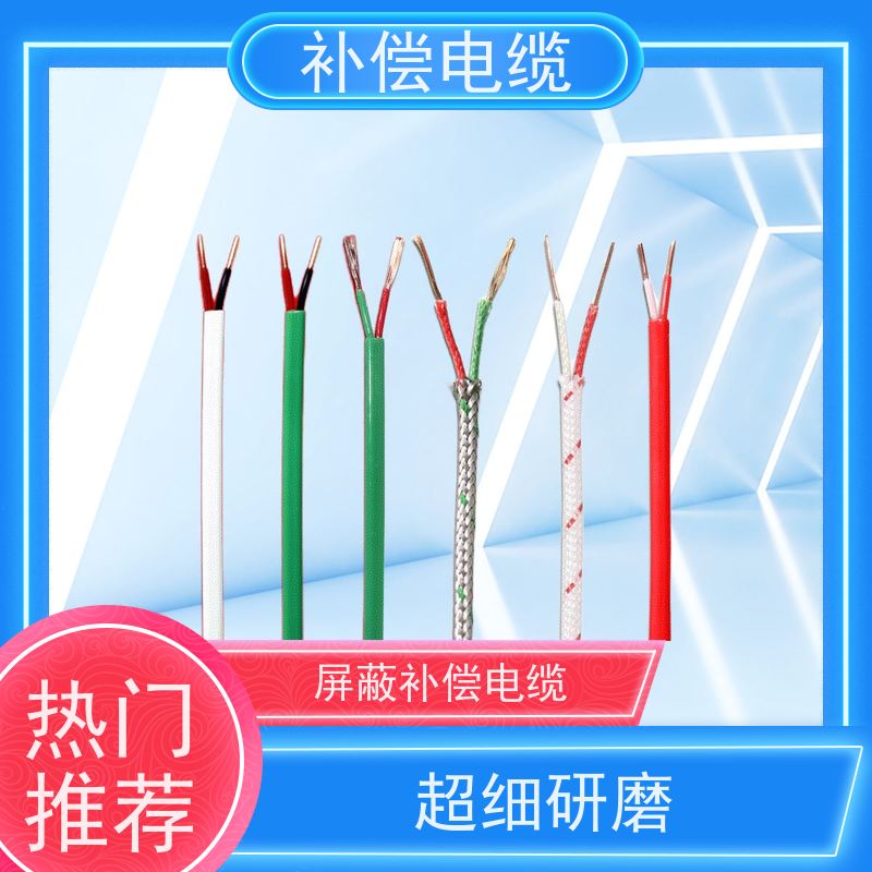 天康 b型热电偶补偿电缆 测试端温度 100℃ 实力厂家 做工细致