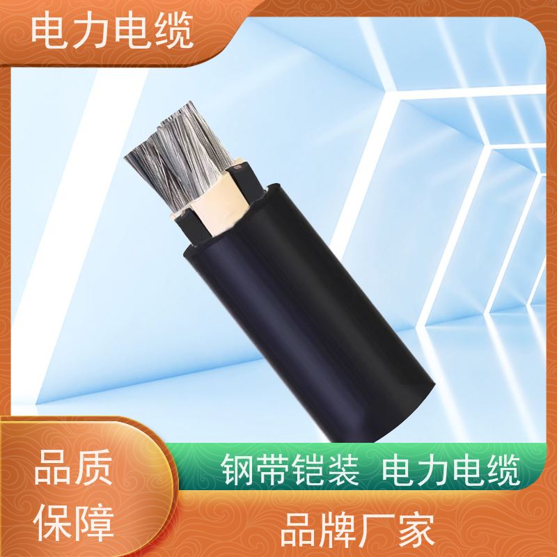 天康 钢带铠装电力电缆 绝缘厚度 1.4mm 厂家供应 做工细致