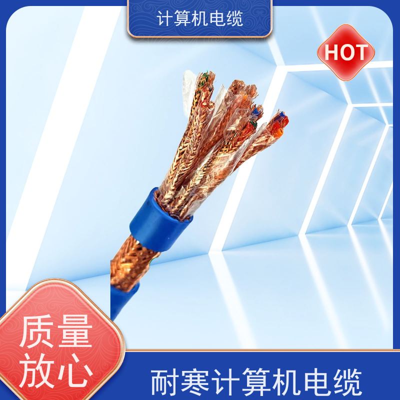 天康 软芯计算机电缆 外径 10.5-78.1mm 厂家制造 优选材质
