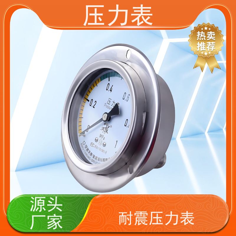 天康 燃气压力表 环境温度 100℃ 批发 源头厂家 质量保障