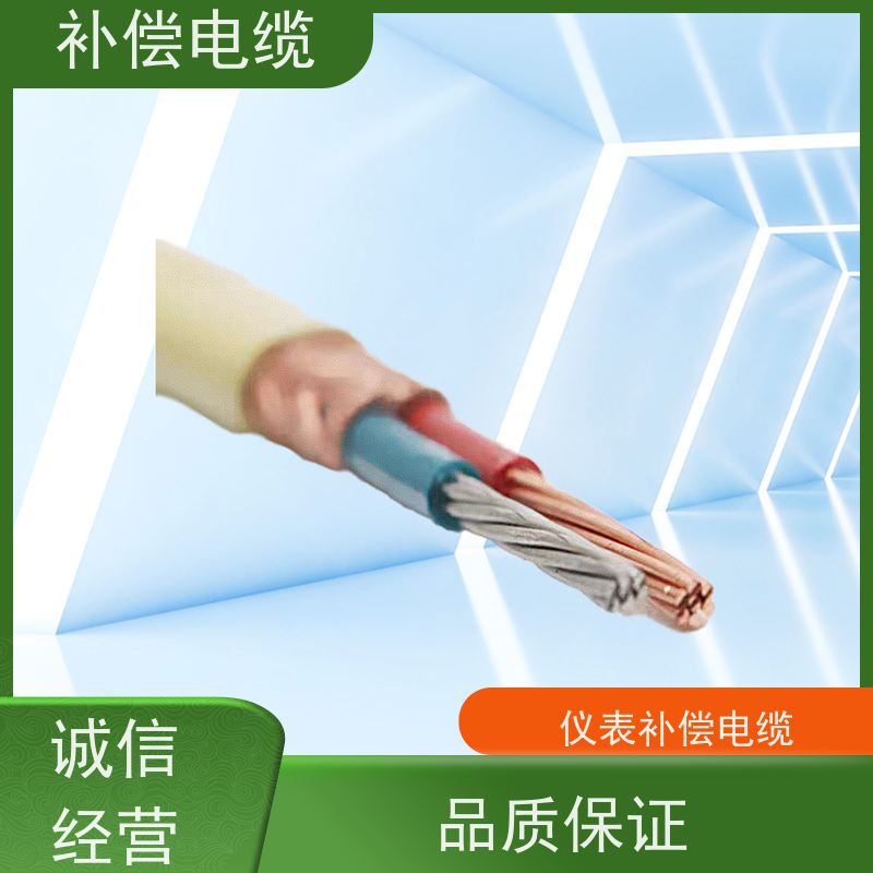 天康 热电偶补偿电缆 往复电阻 ≤0.44Omega/m 源头工厂 支持定制