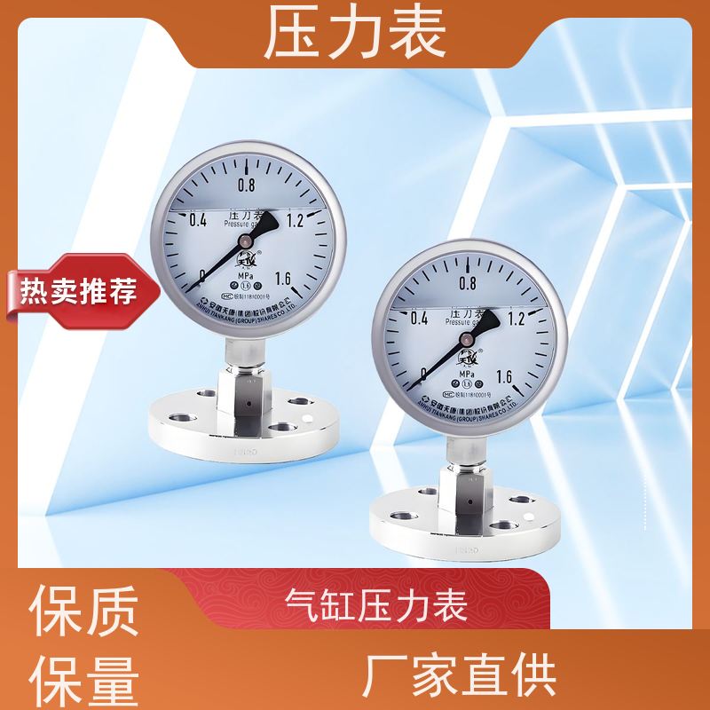 天康 法兰压力表 公称直径 60mm 批发 厂家制造 品类齐全