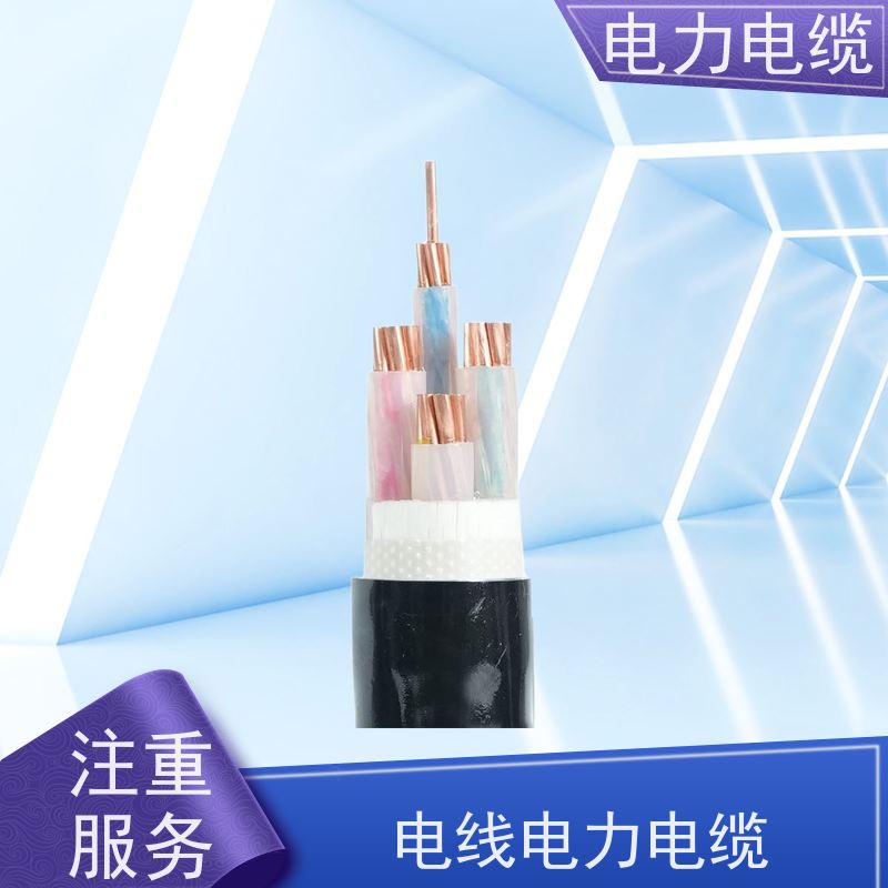 天康 低压电力电缆 额定电压 450v 厂家供应 做工细致