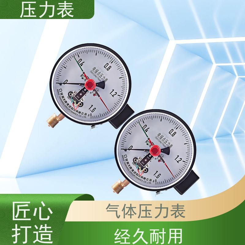 天康 精密压力表 环境温度 100℃ 批发 源头厂家 质量保障