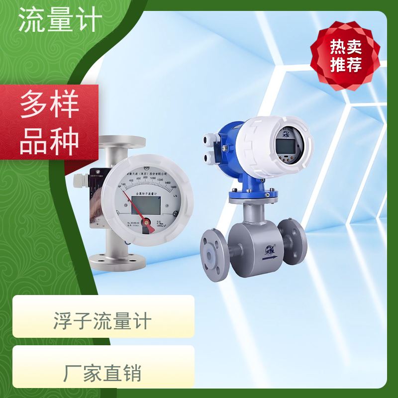 天康 直读式流量计 测量精度 ±1.5% 工厂制造 规格齐全