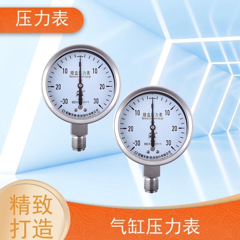 天康 分水器压力表 环境温度 100℃ 批发 厂家制造 品类齐全
