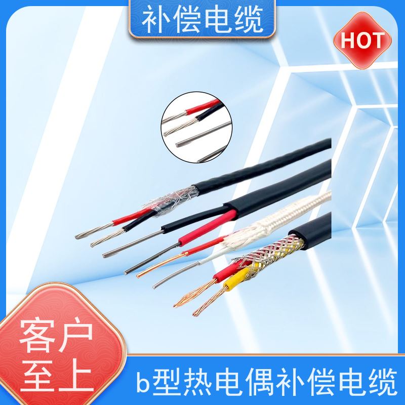 天康 屏蔽补偿电缆 单线标称直径 1.37mm 源头工厂 支持定制