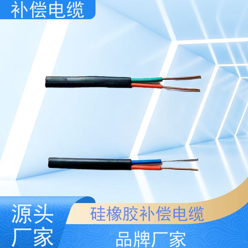 天康 b型热电偶补偿电缆 往复电阻 ≤0.44Omega/m 厂家供应 保质保量