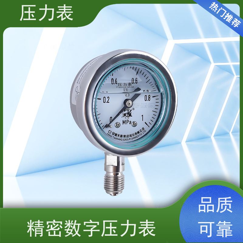 天康 氨用压力表 环境温度 100℃ 批发 源头厂家 质量保障