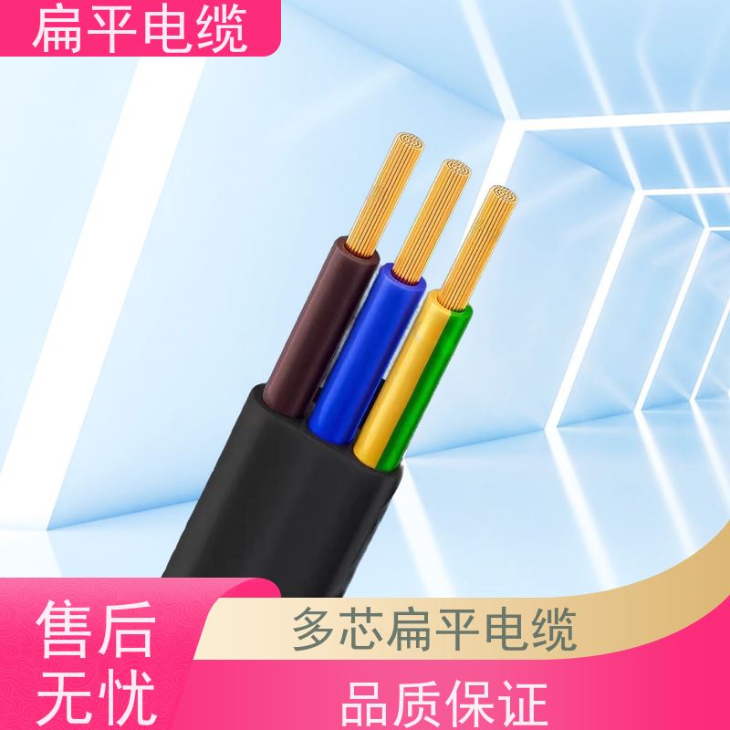 天康 行车扁平软电缆 温度波动度 0.5 厂家制造 货源充足