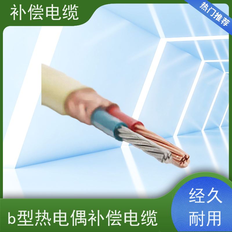 天康 硅橡胶补偿电缆 护层厚度 0.7mm 源头工厂 支持定制