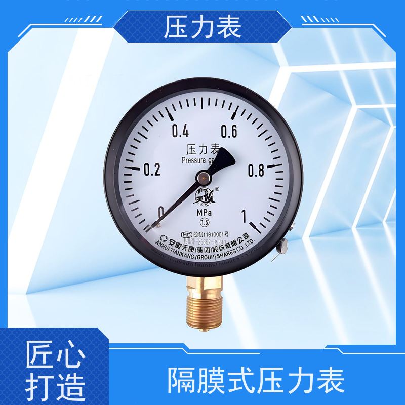天康 螺纹隔膜压力表 环境温度 100℃ 批发 厂家制造 品类齐全