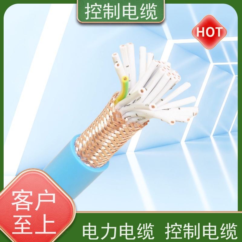 天康 电动葫芦控制电缆 传输速率 12mbps 工厂供应 性能稳定