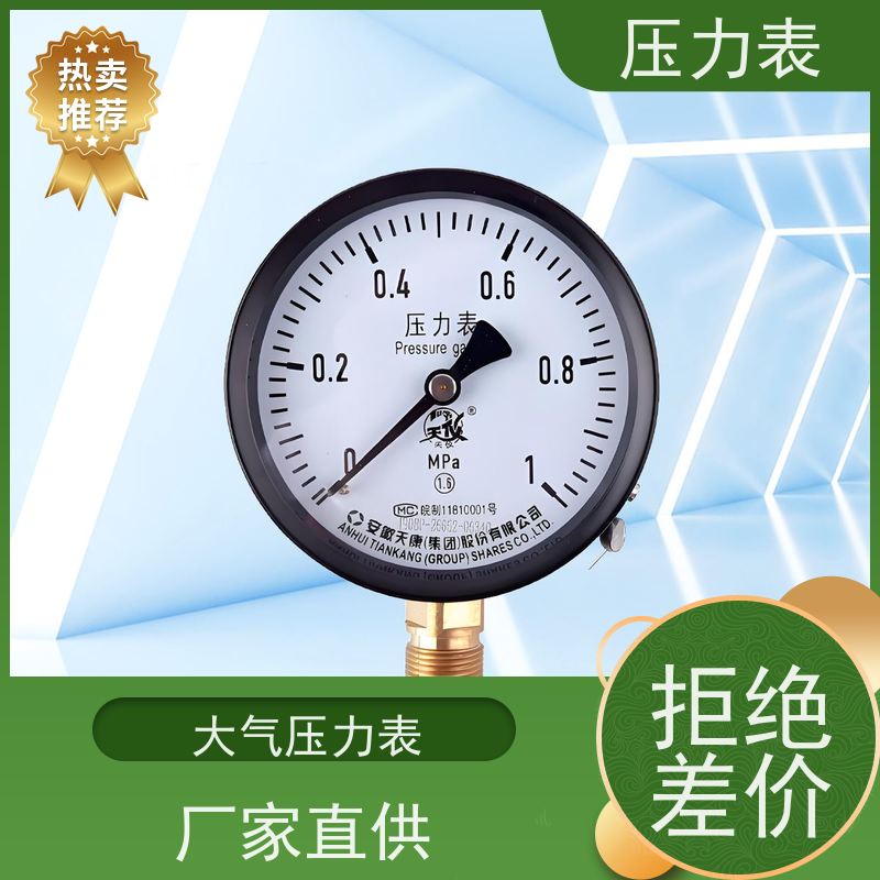 天康 气压压力表 环境温度 100℃ 批发 实力厂家 品质优越