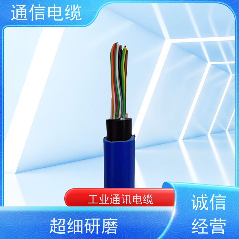 天康 计算机通讯电缆 额定温度 70℃ 工厂发货 物超所值
