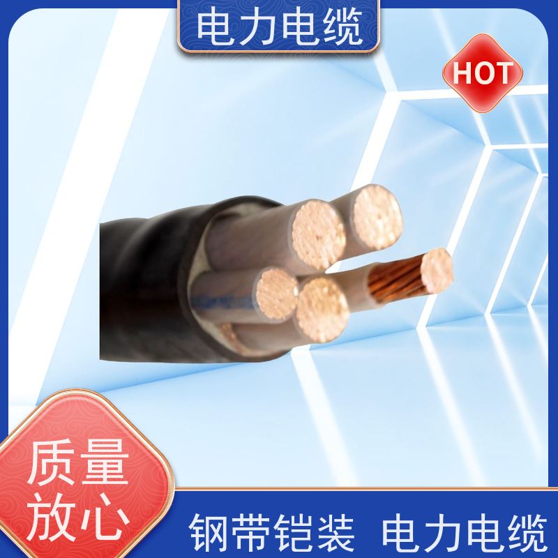 天康 高压电力电缆 标称截面 10mm2 源头工厂 规格齐全